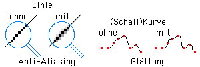 für Artikel „Analog ./. Digital“ (zanjero.de): Antialising (2003)